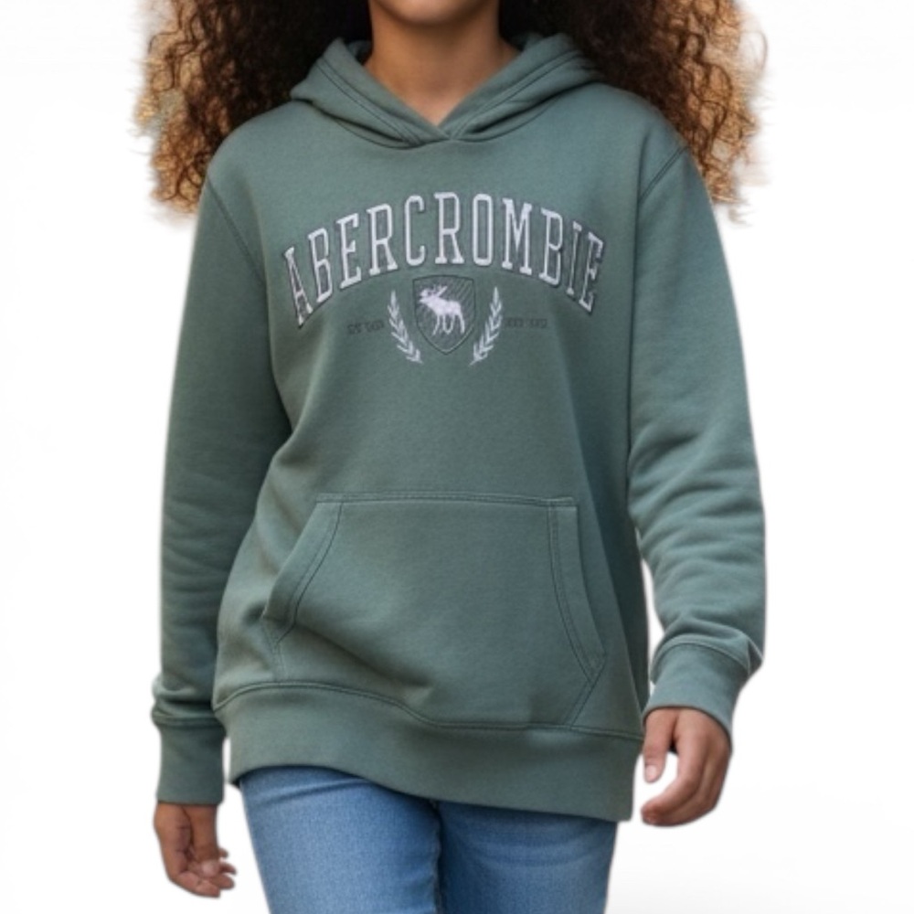Abercrombie Kids Sage Hoodie